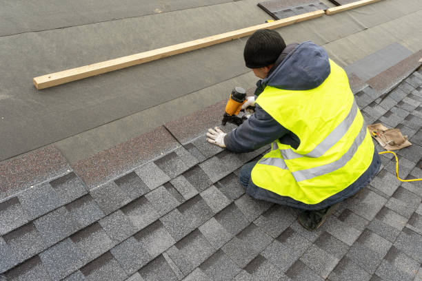 Best Storm Damage Roof Repair  in Trinity, AL