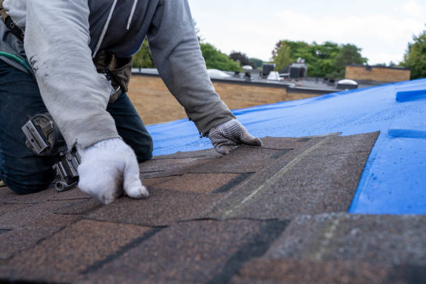 Best Gutter Installation and Roofing  in Trinity, AL