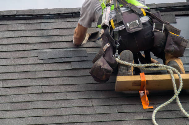 Roof Gutter Cleaning in Trinity, AL