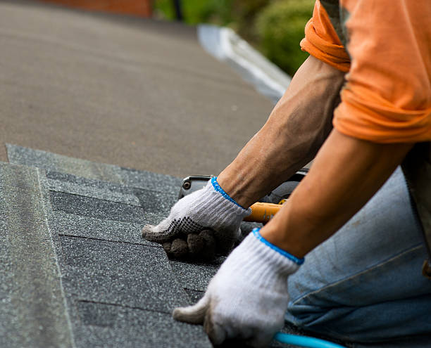 Best Roof Gutter Cleaning  in Trinity, AL