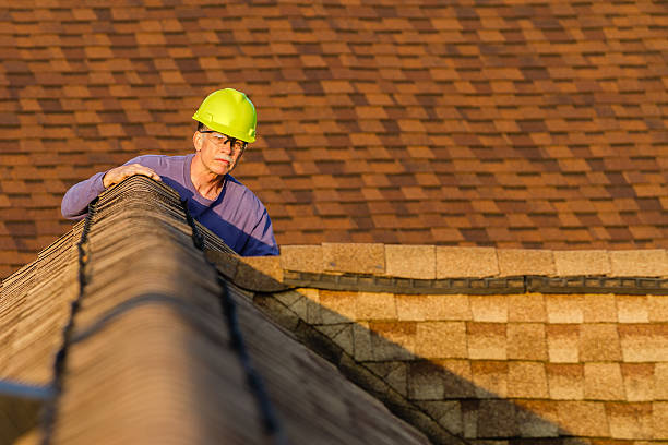 Best Roof Gutter Cleaning  in Trinity, AL