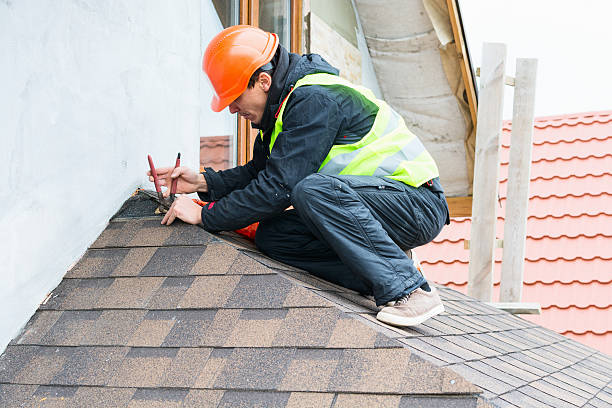 Best Tile Roofing Contractor  in Trinity, AL
