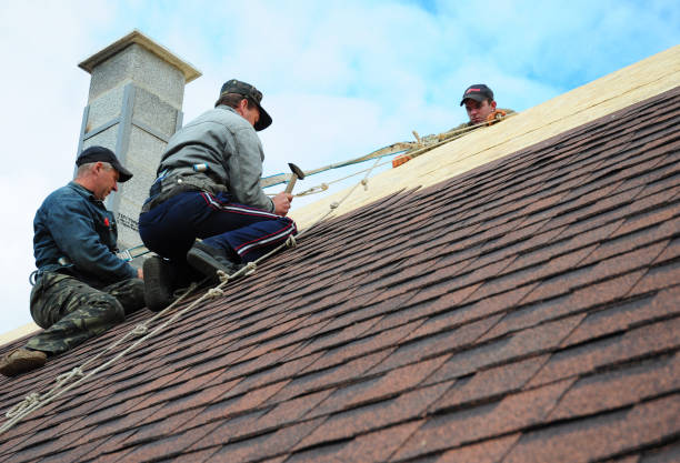 Best Emergency Roof Repair  in Trinity, AL